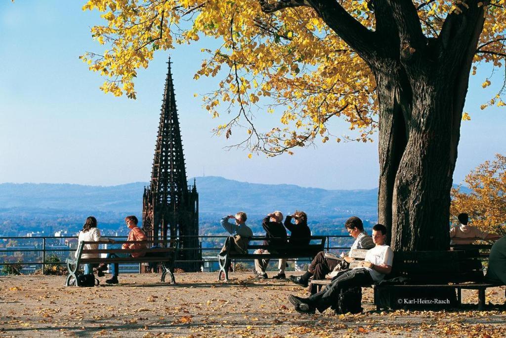 Designhotel Am Stadtgarten Freiburg im Breisgau Eksteriør bilde